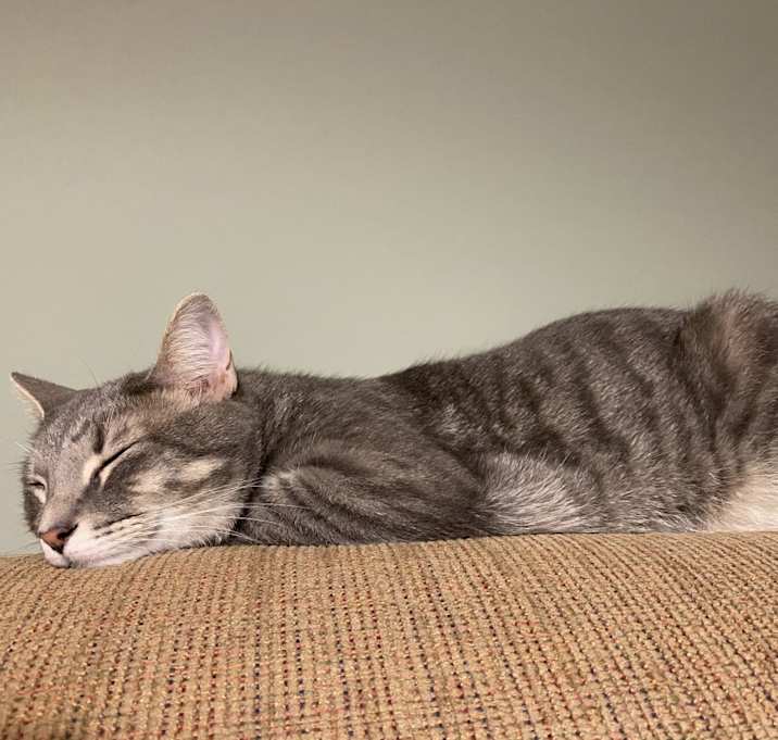Photo of Dean