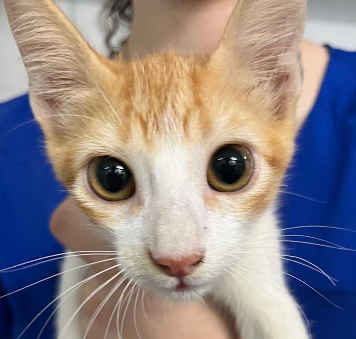 Photo of Tom