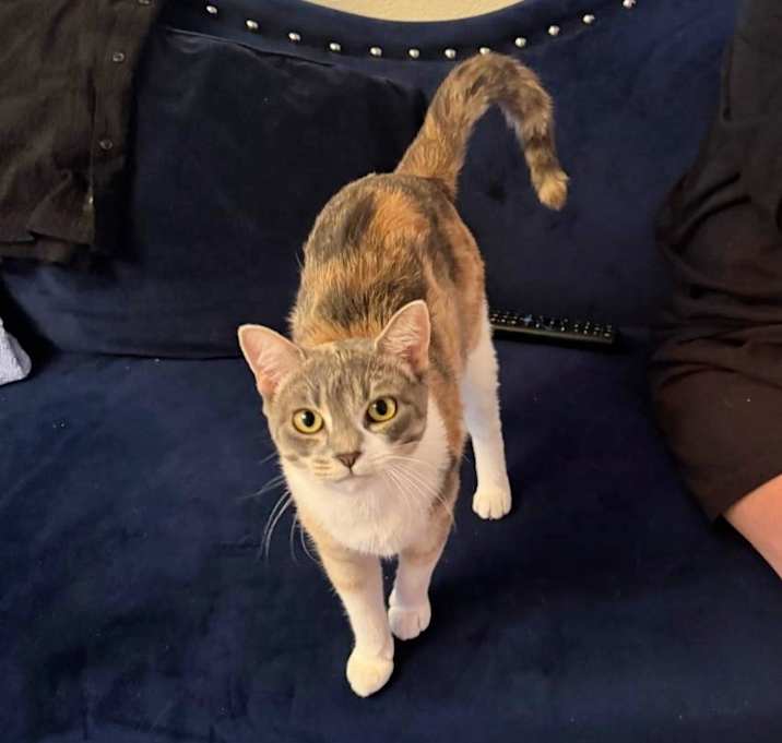 Photo of Pepper