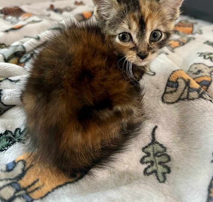 Photo of Fiona