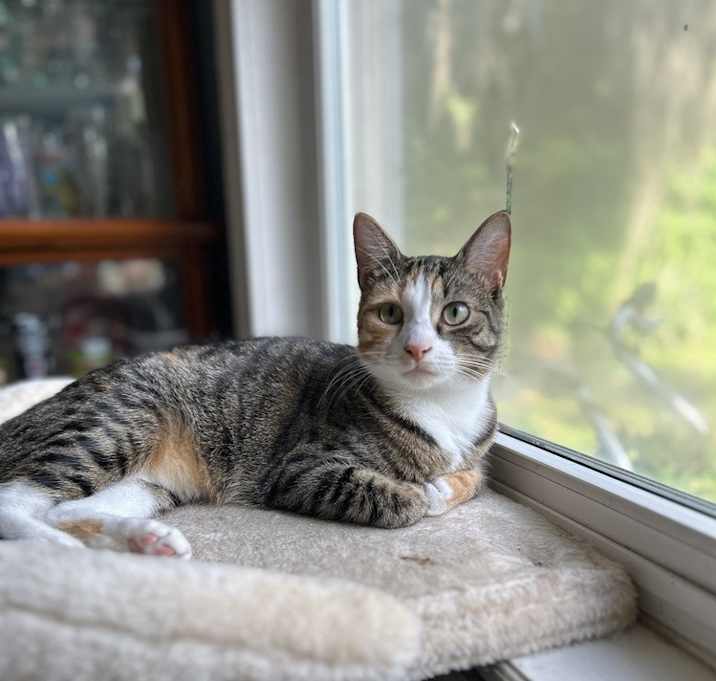 Photo of Minnie
