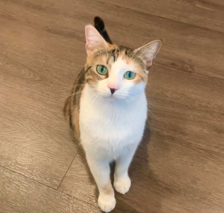 Photo of Chloe