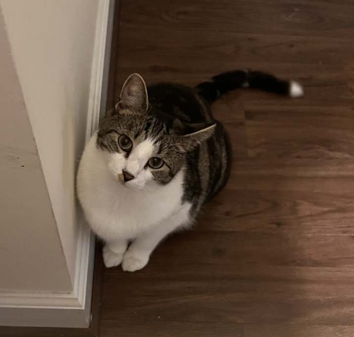 Photo of Charlie
