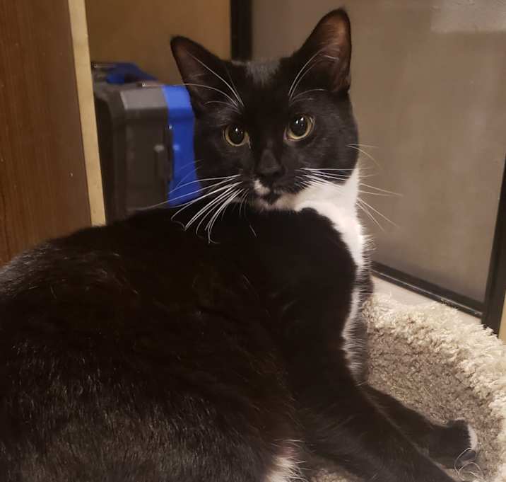 Photo of Superfly