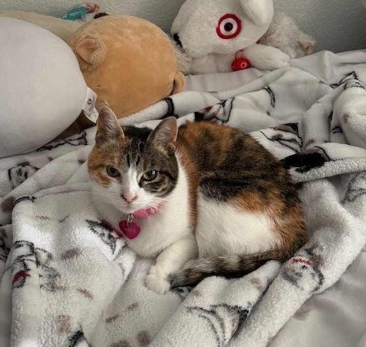 Photo of Sweetie