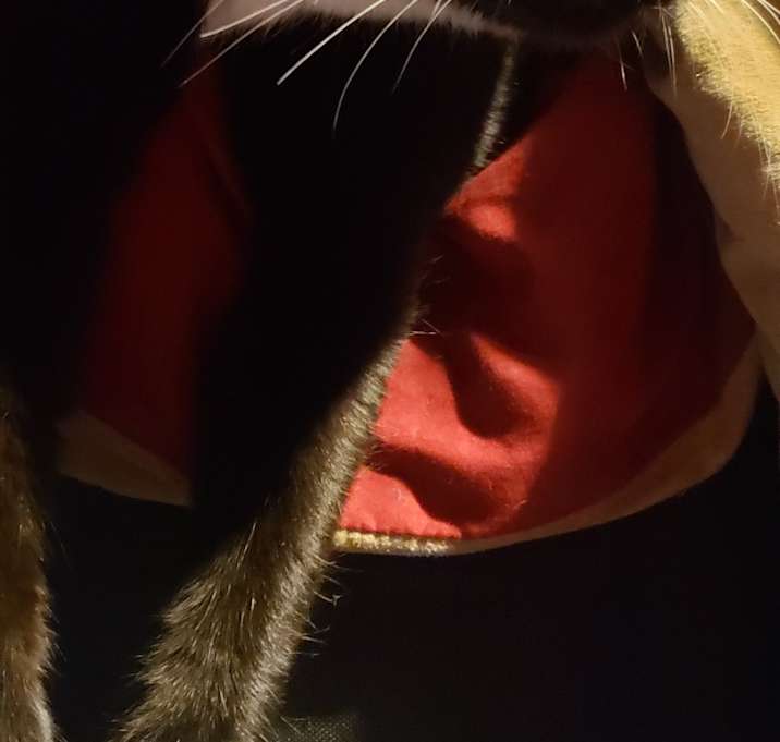 Photo of Enyo