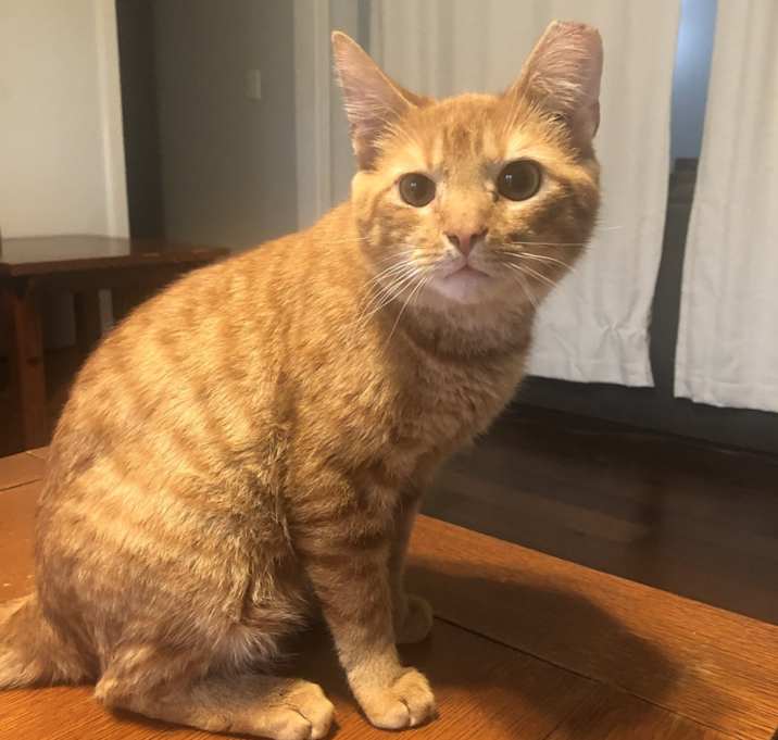 Photo of Dizzy