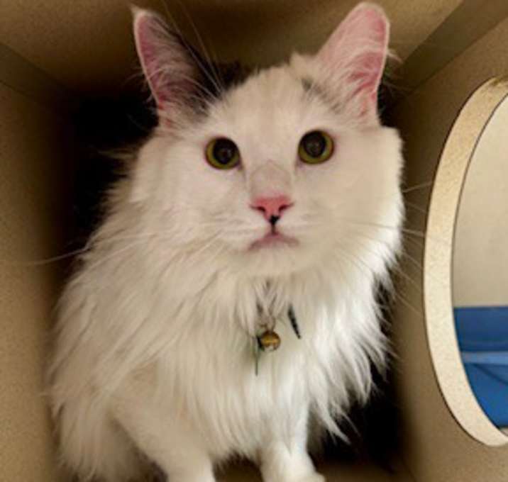 Photo of Mitsy