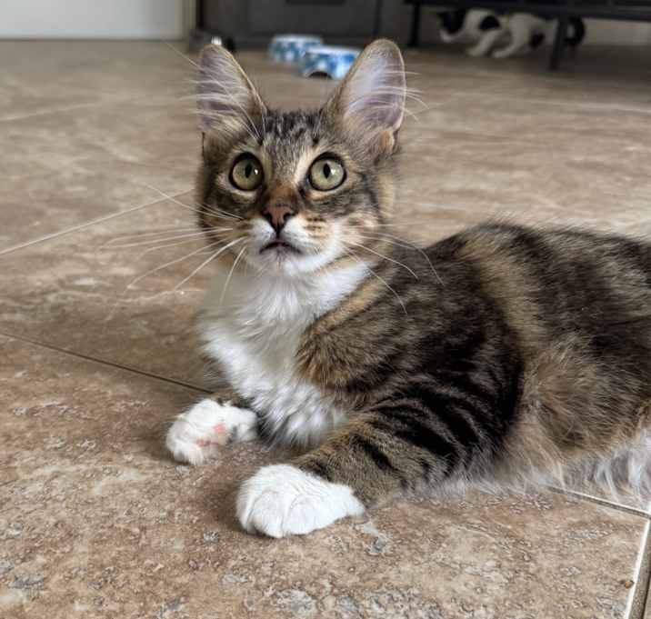 Photo of No Name