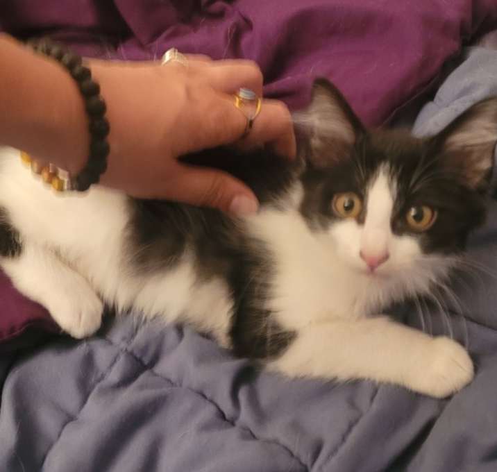 Photo of No name