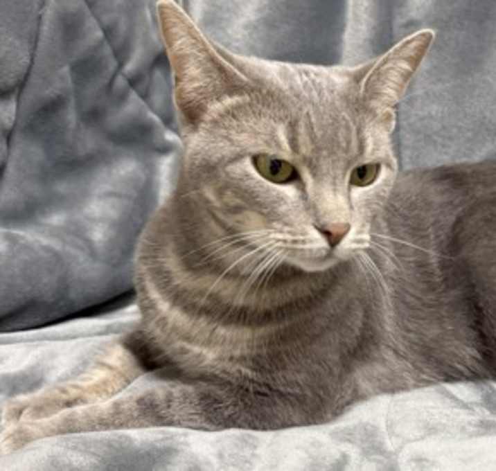 Photo of Sugar