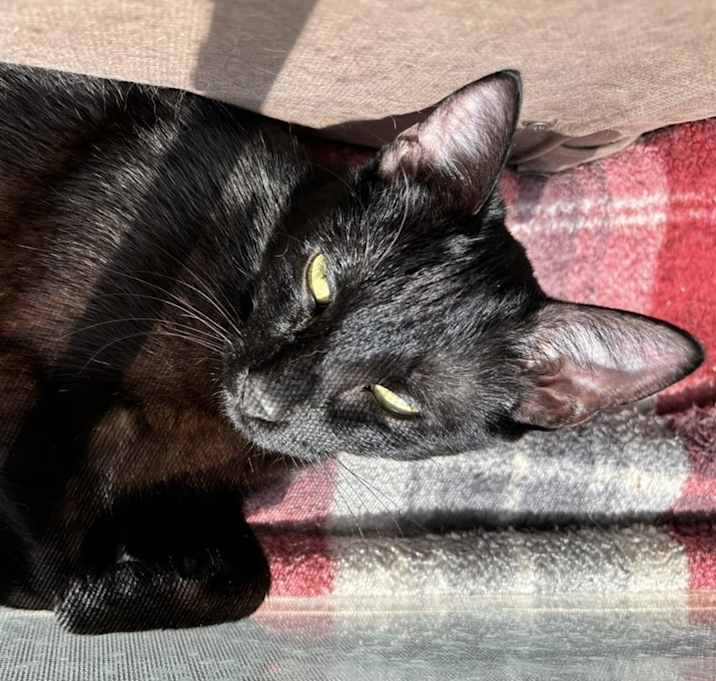 Photo of Magia