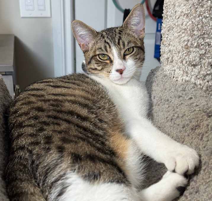 Photo of Mio