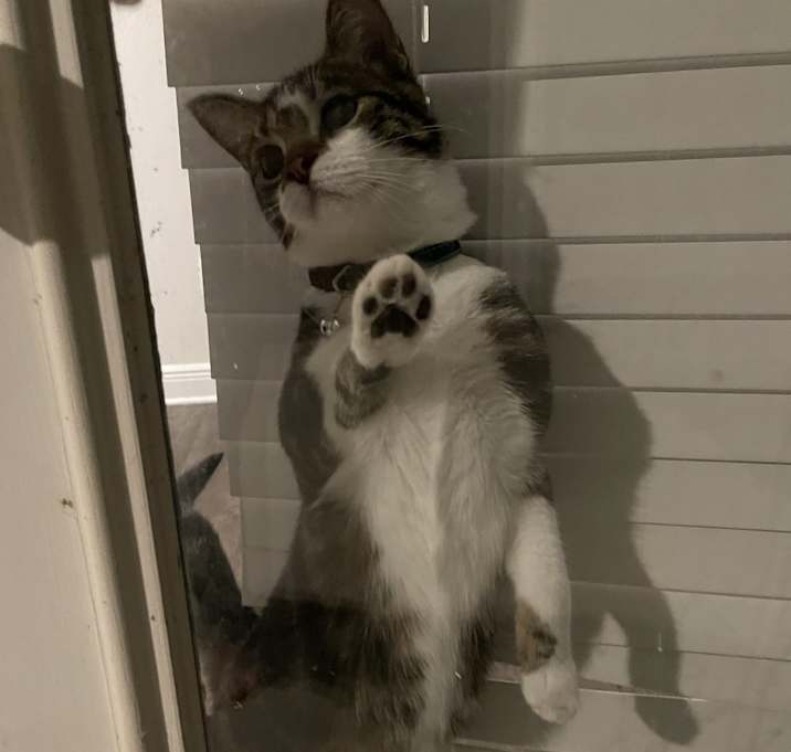 Photo of Benny