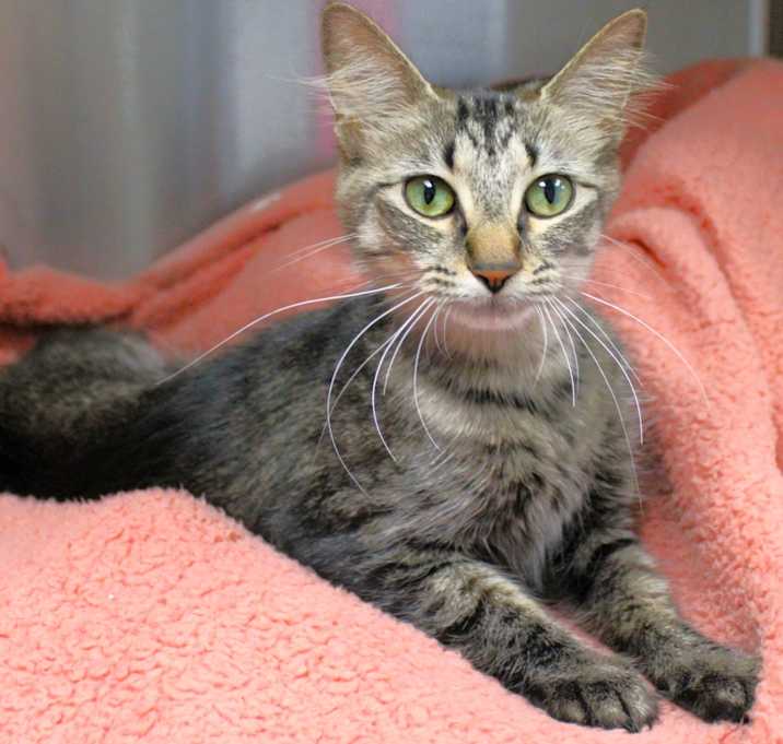 Photo of Mystic