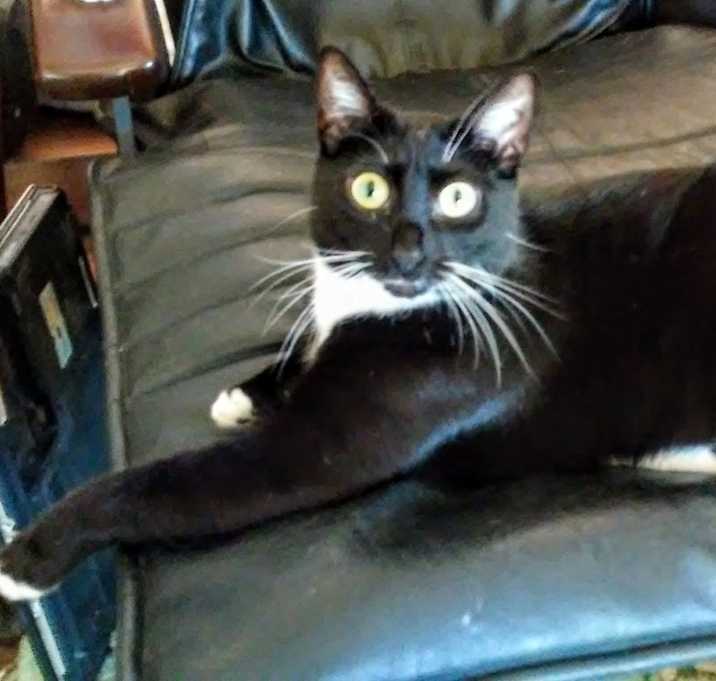 Photo of Jenny