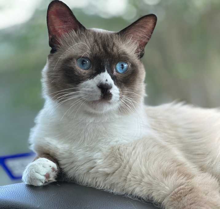 Photo of Walter