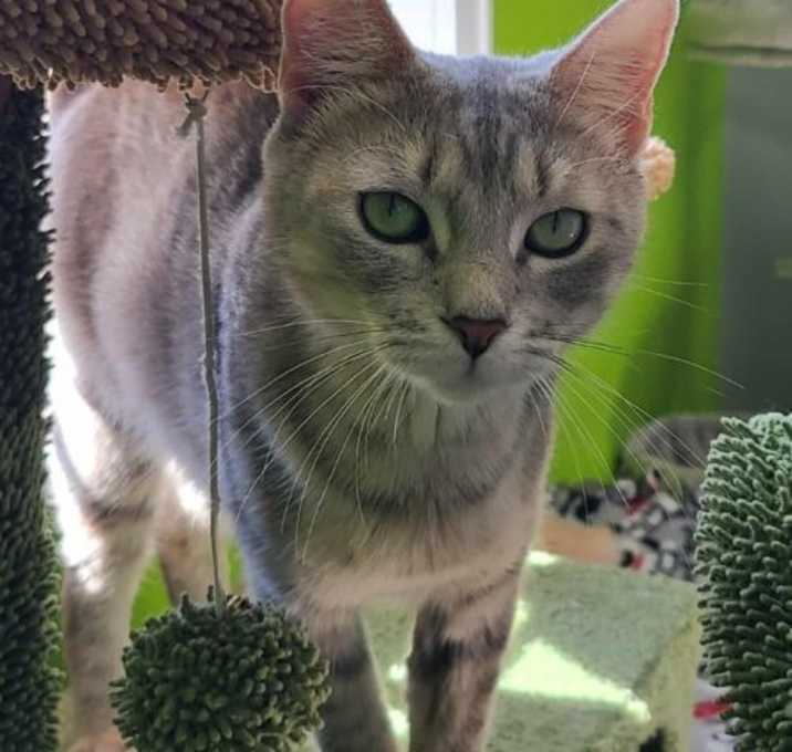 Photo of Frida