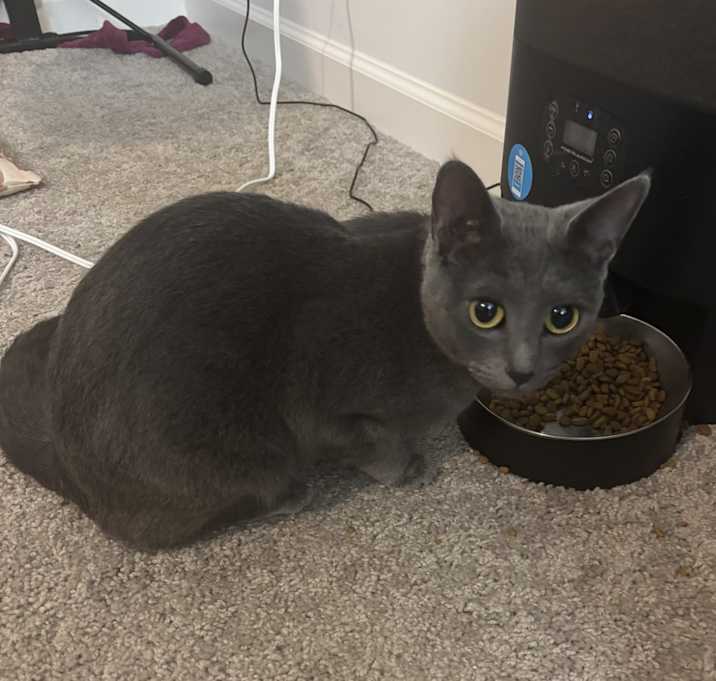 Photo of Luna