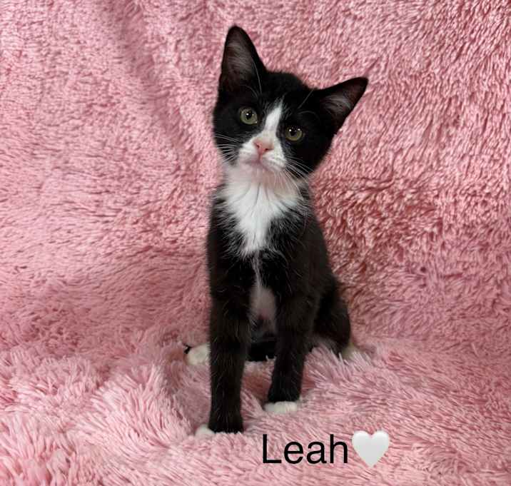 Photo of Leah