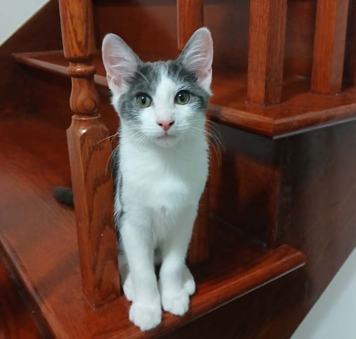 Photo of Mr. Prince