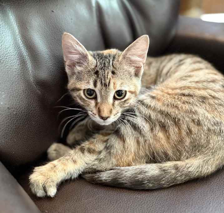 Photo of Margot