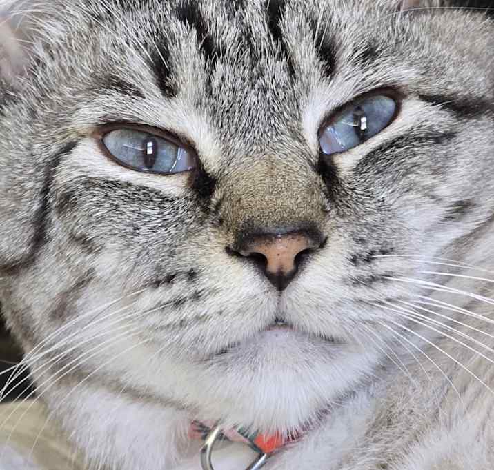 Photo of Lucy