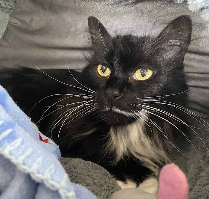 Photo of Matilda