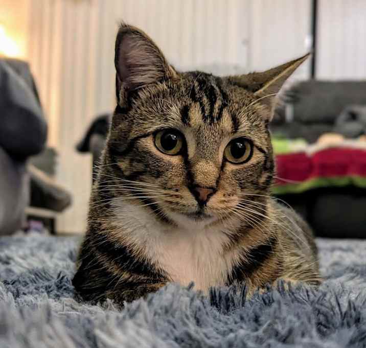 Photo of Luna