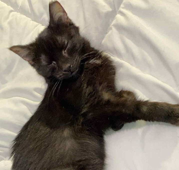 Photo of Void