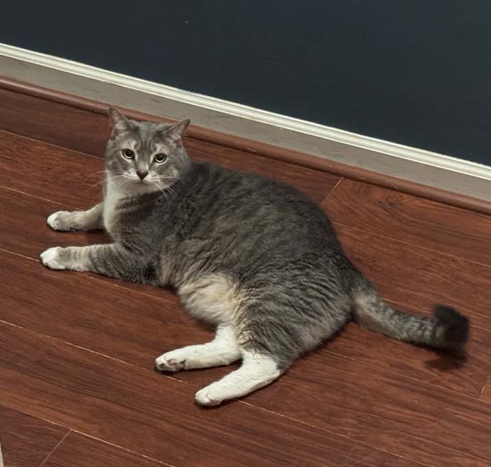 Photo of Oliver