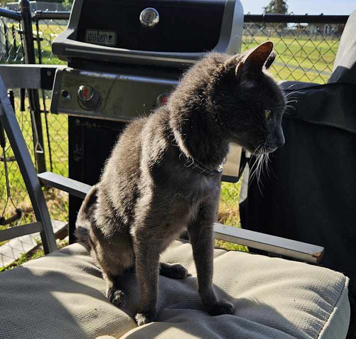 Photo of Hugo