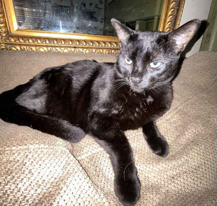 Photo of Little Bear