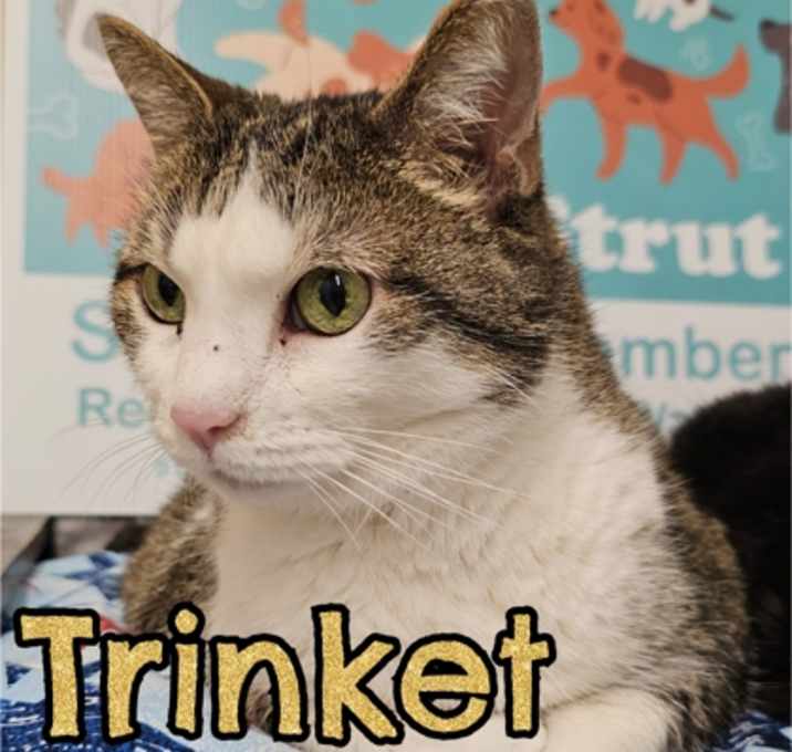 Photo of Trinket