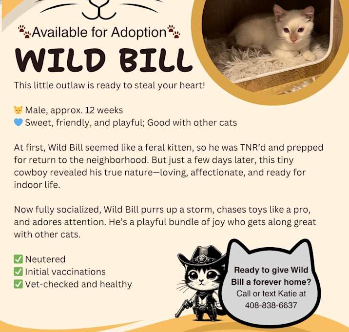 Photo of Wild Bill