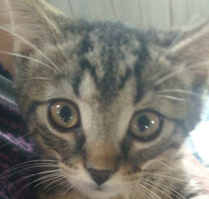 Photo of Alvin