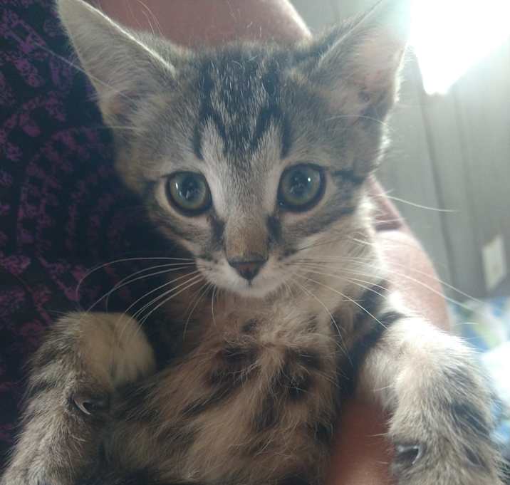Photo of Simon