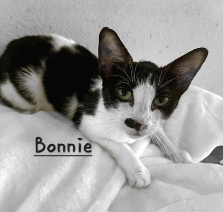 Photo of Bonnie #Rare and Special