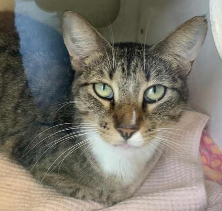 Photo of STORM