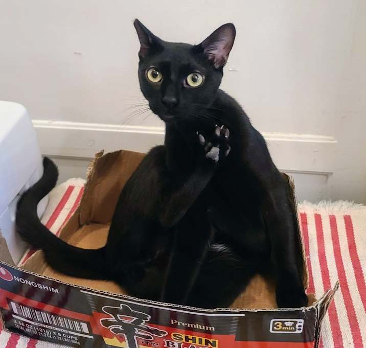 Photo of Ruffio
