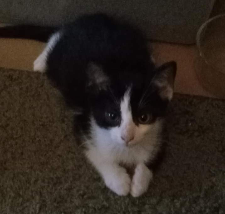 Photo of Timmy