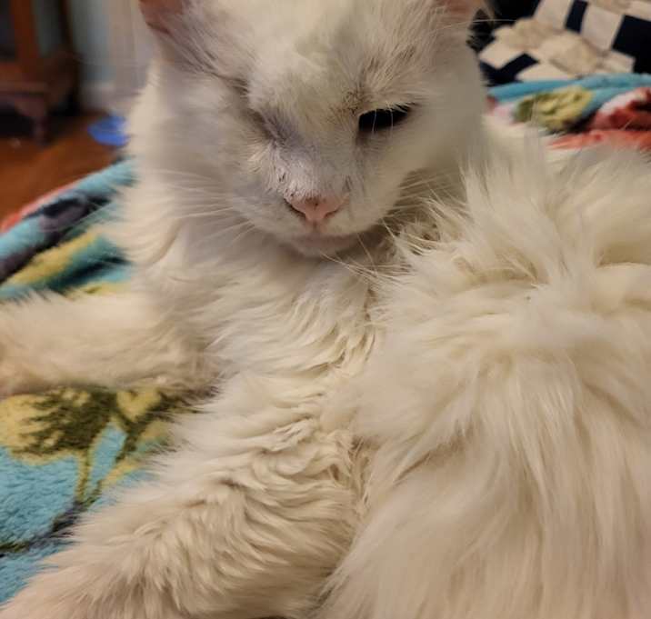 Photo of Popeye