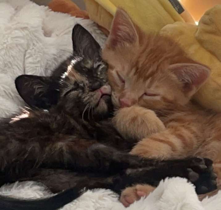 Photo of Kubo & Miso