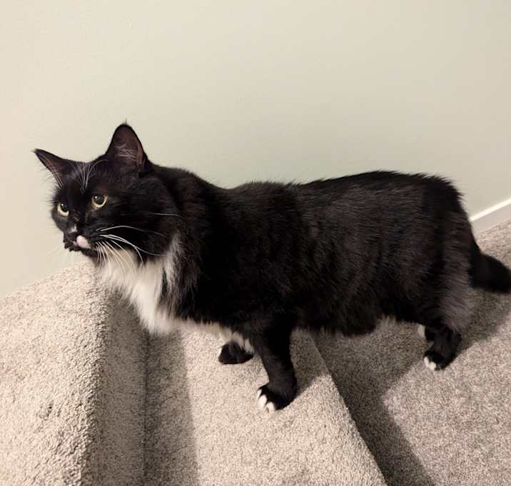 Photo of Poe