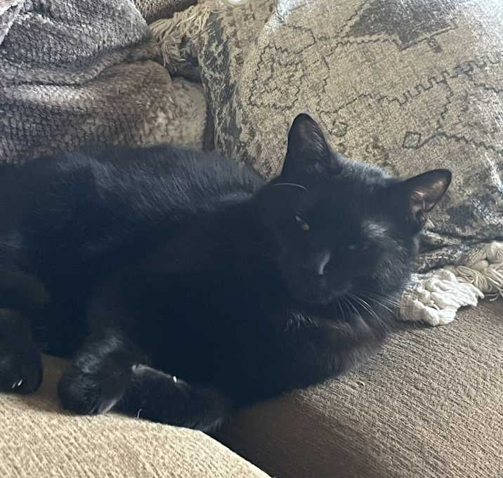Photo of Scudy