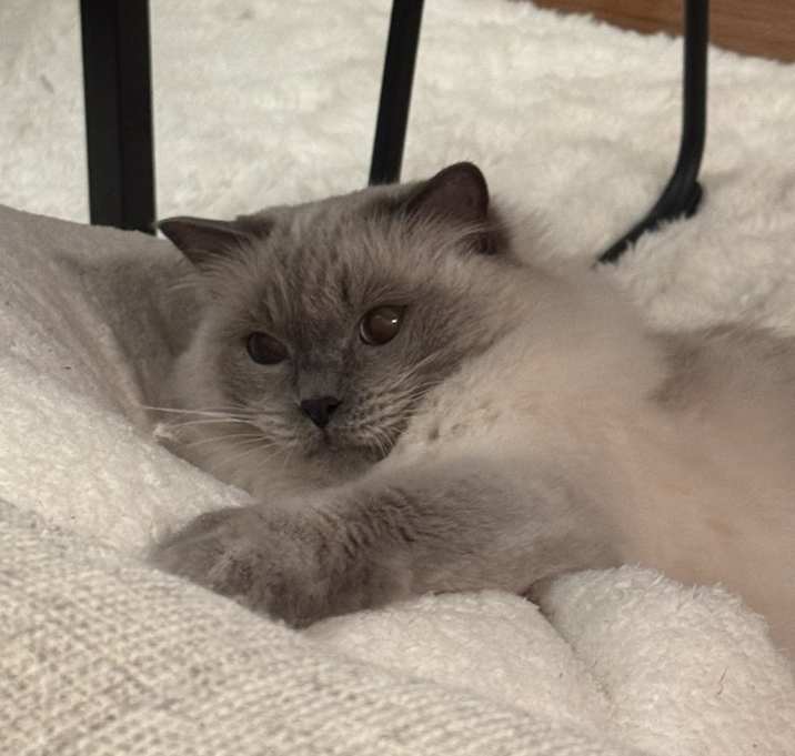Photo of Yuki