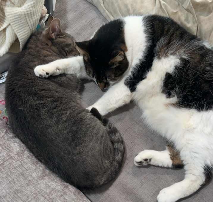 Photo of Tinker and Lulu