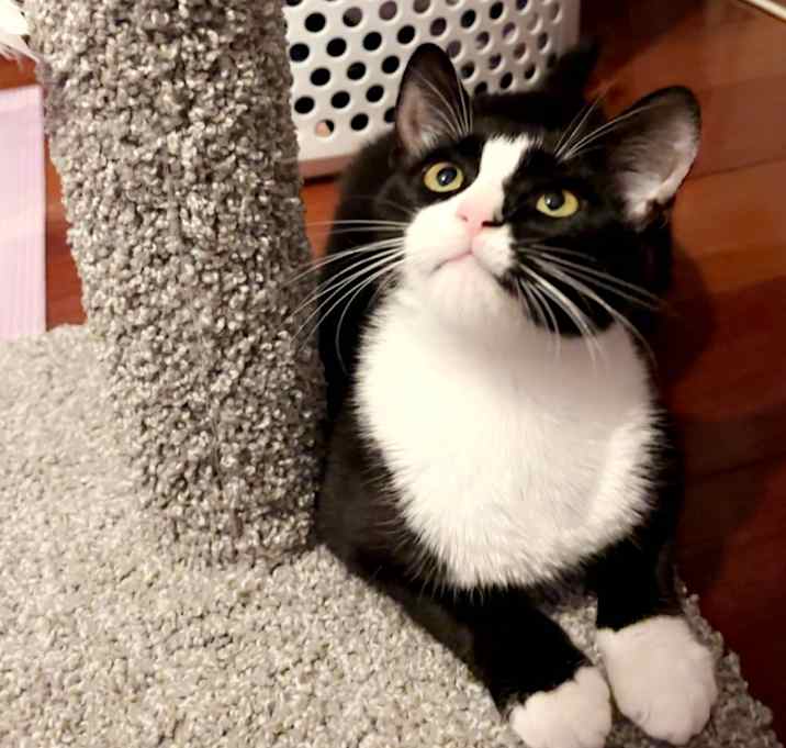 Photo of Lola
