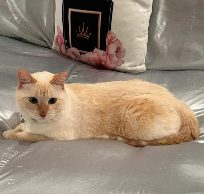 Photo of Qamar/Harry