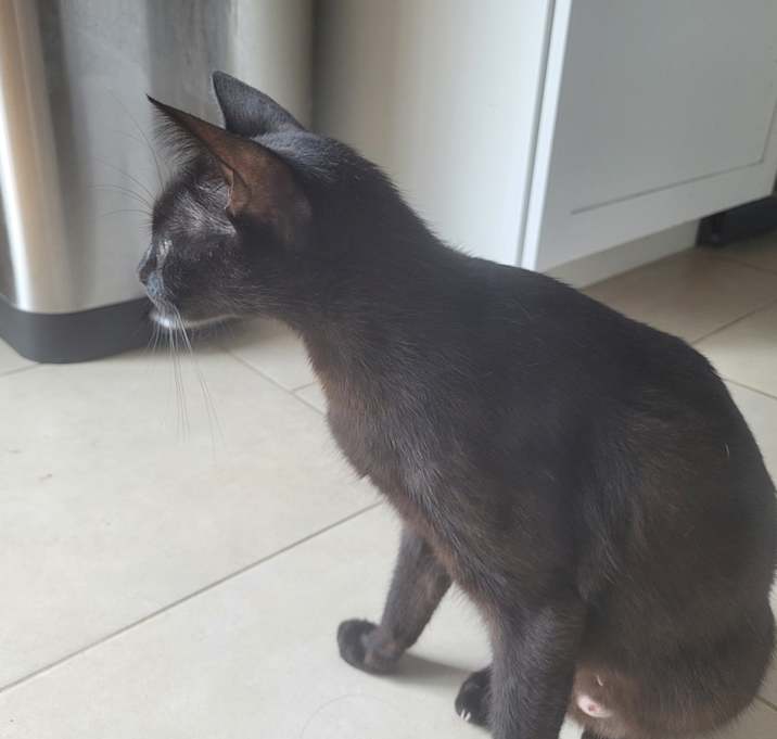 Photo of Marcie